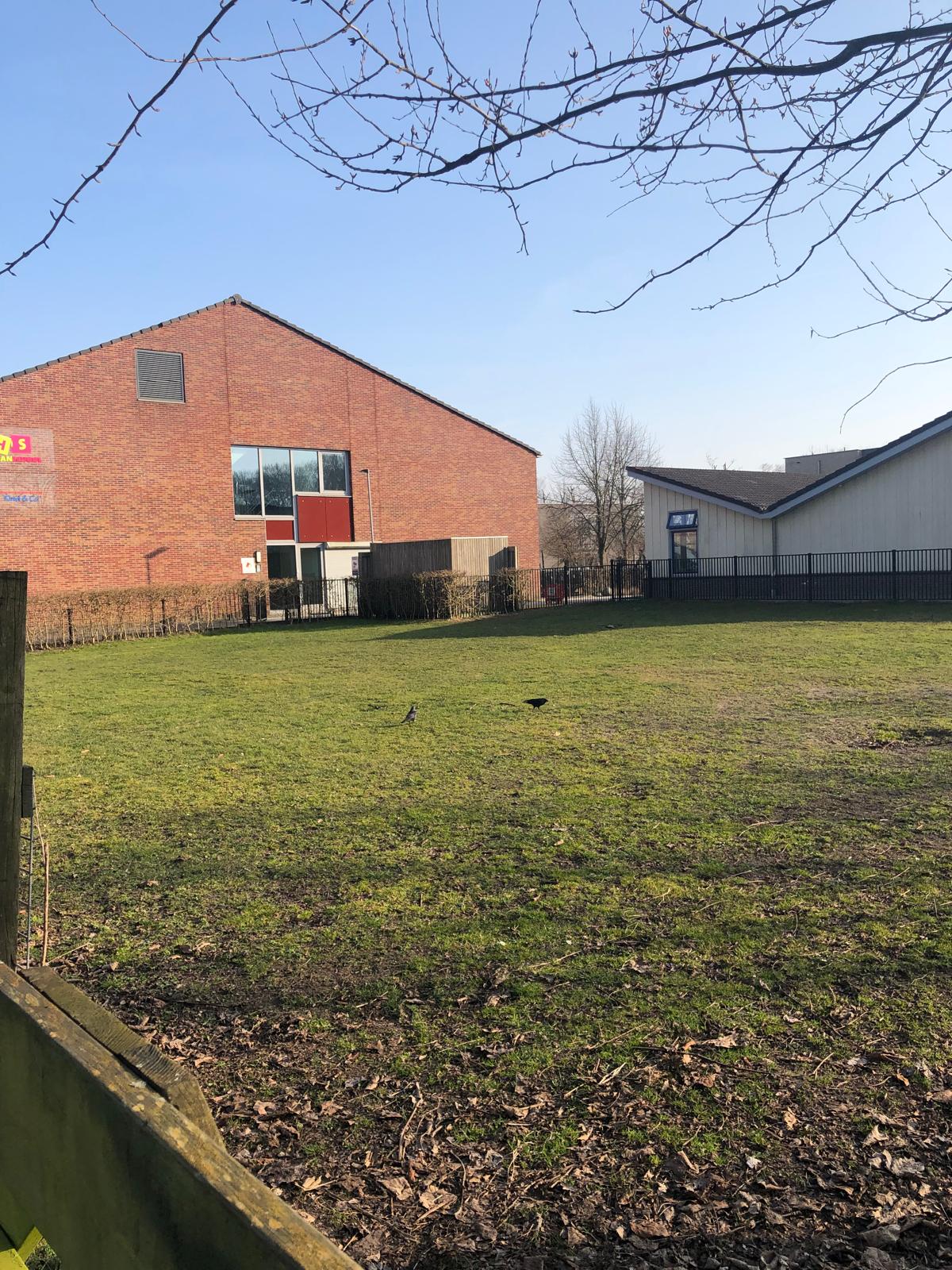 Het grasveld voor de hub